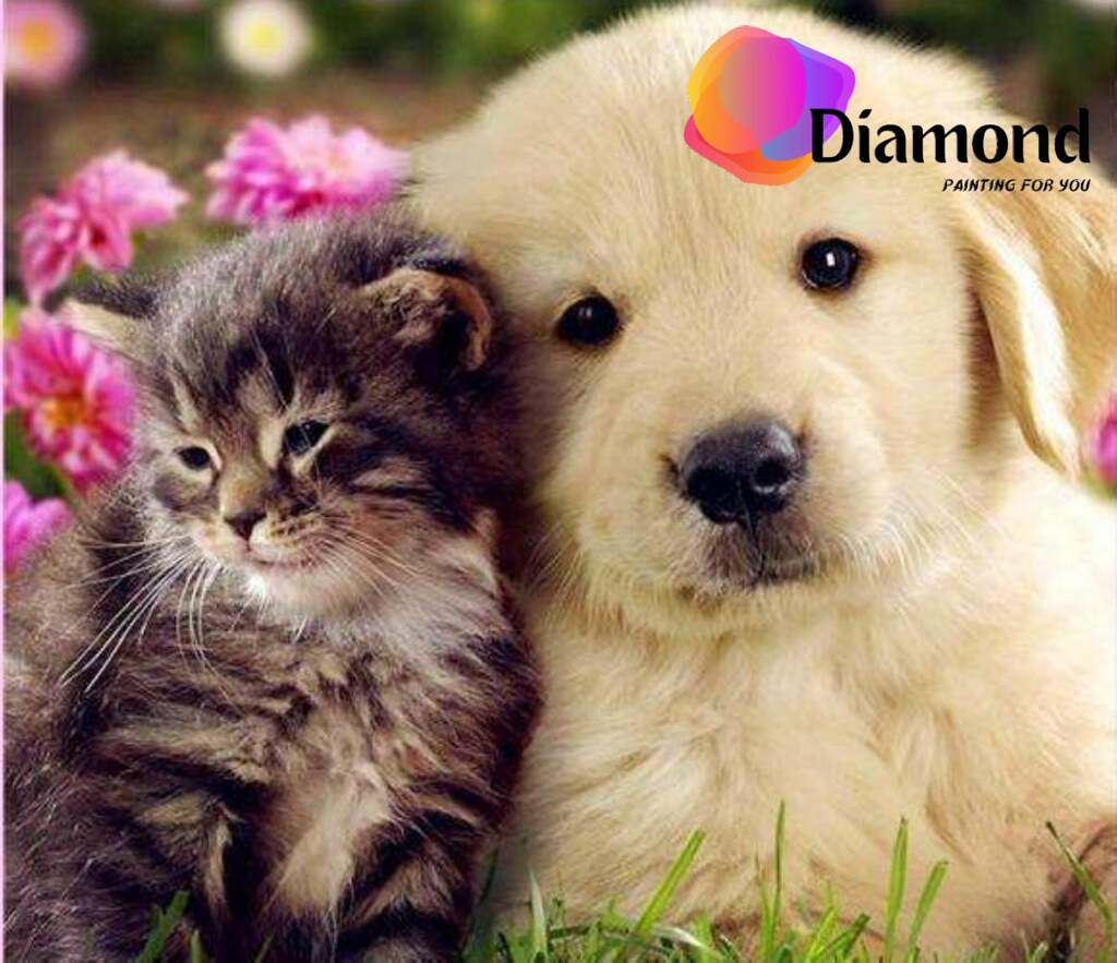 Beste vriendjes Hond en kat Diamond Painting for you
