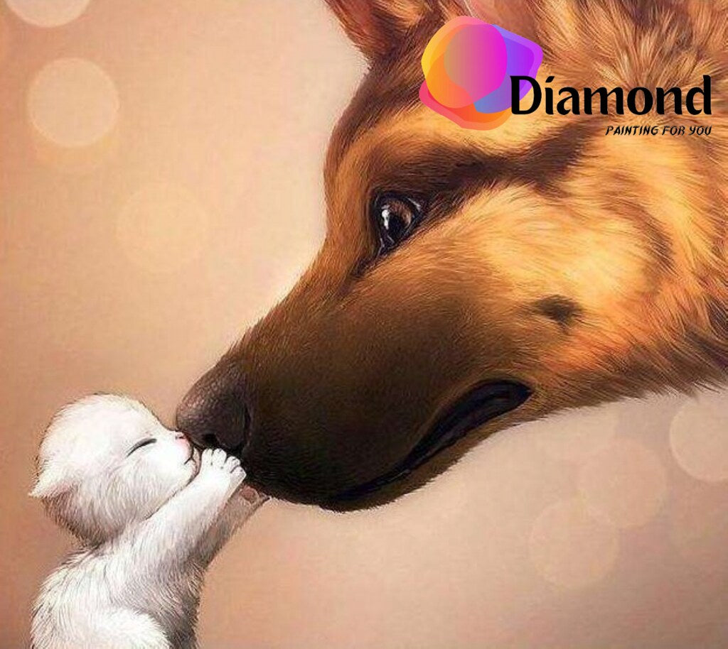 Kat geeft kusje aan hond Diamond Painting for you