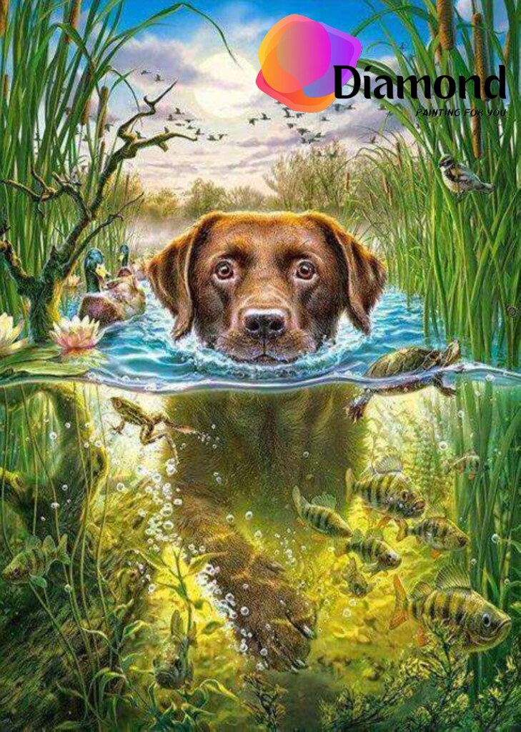 Hond in water met vissen Diamond Painting for you