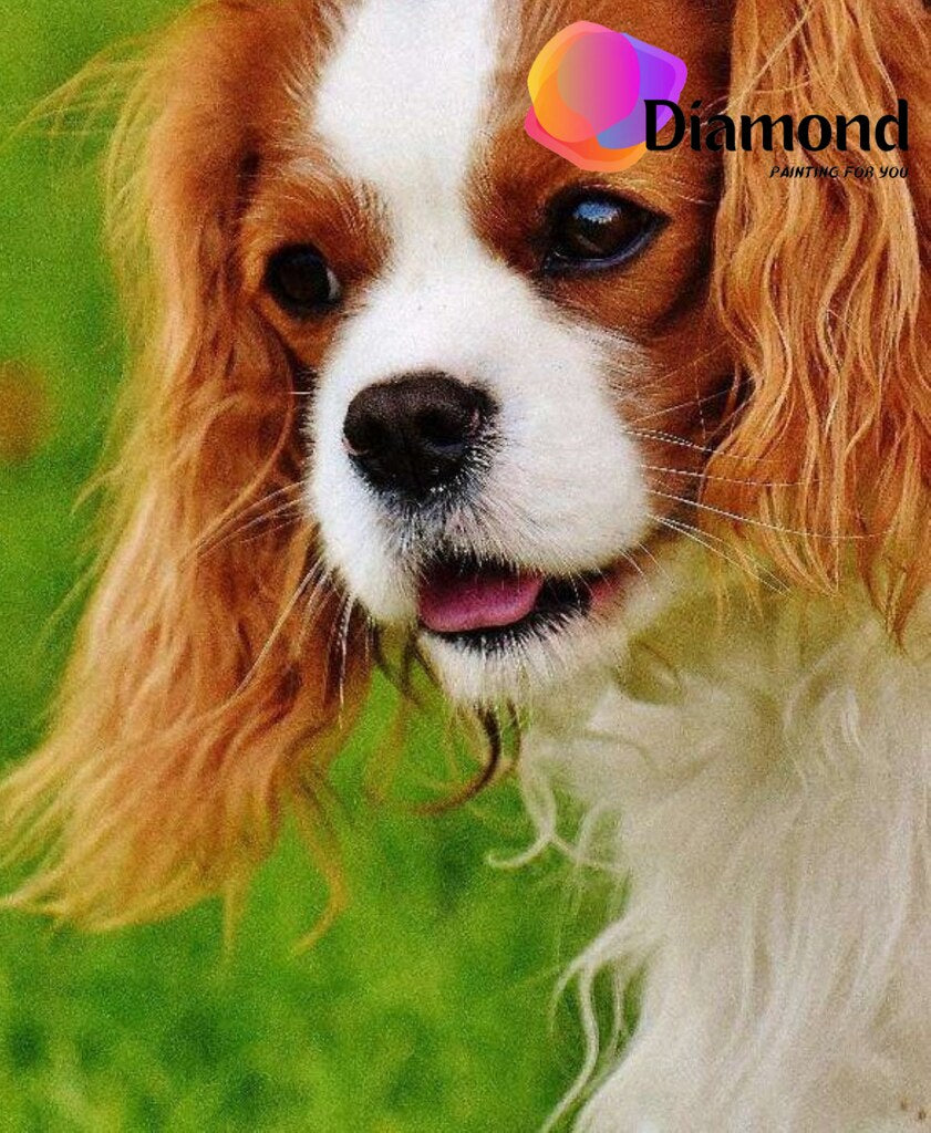 Hondenkop bij het gras Diamond Painting for you