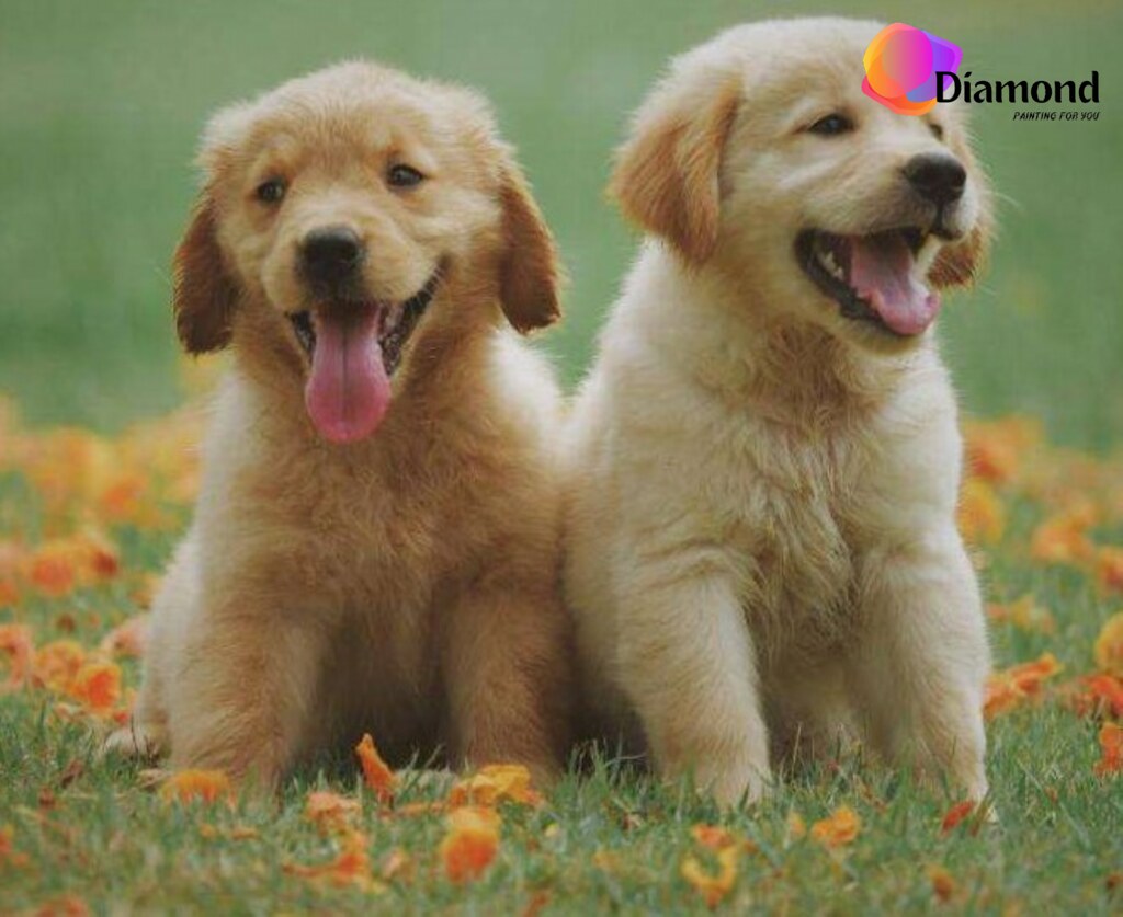 Labrador puppies Diamond Painting for you