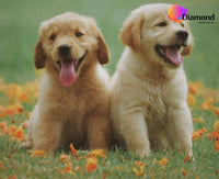 Thumbnail for Labrador puppies Diamond Painting for you