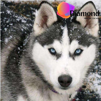 Thumbnail for Husky met sneeuw op de vacht Diamond Painting for you