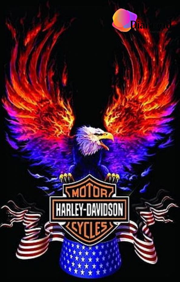 Harley Davidson Aderlaar in vuur Diamond Painting for you