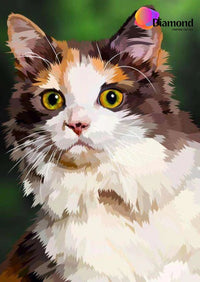 Thumbnail for Langharige Kat Diamond Painting for you
