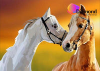 Thumbnail for Paarden Vriendjes Diamond Painting for you