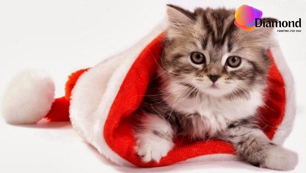 Kitten in een kerstmuts Diamond Painting for you