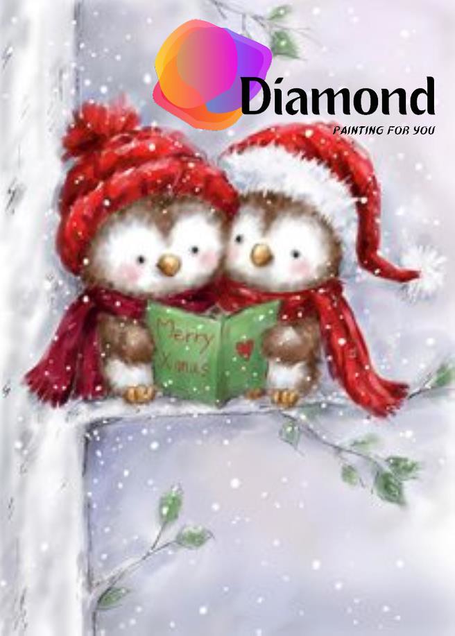 twee vogels lezen een kerstkaart Diamond Painting for you