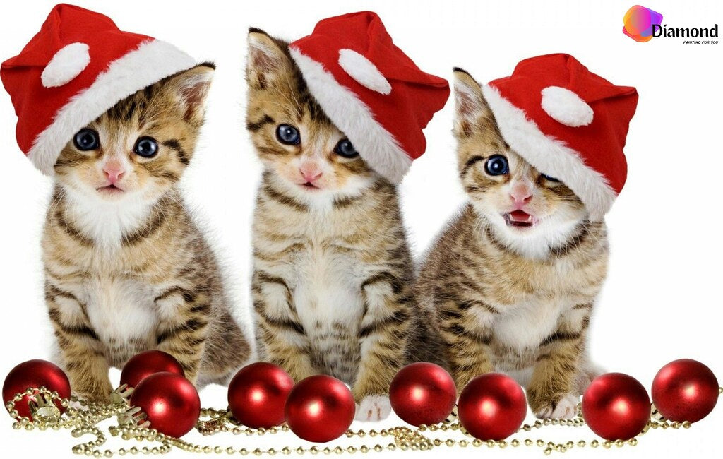 Kittens met kerstballen en kerstmuts Diamond Painting for you