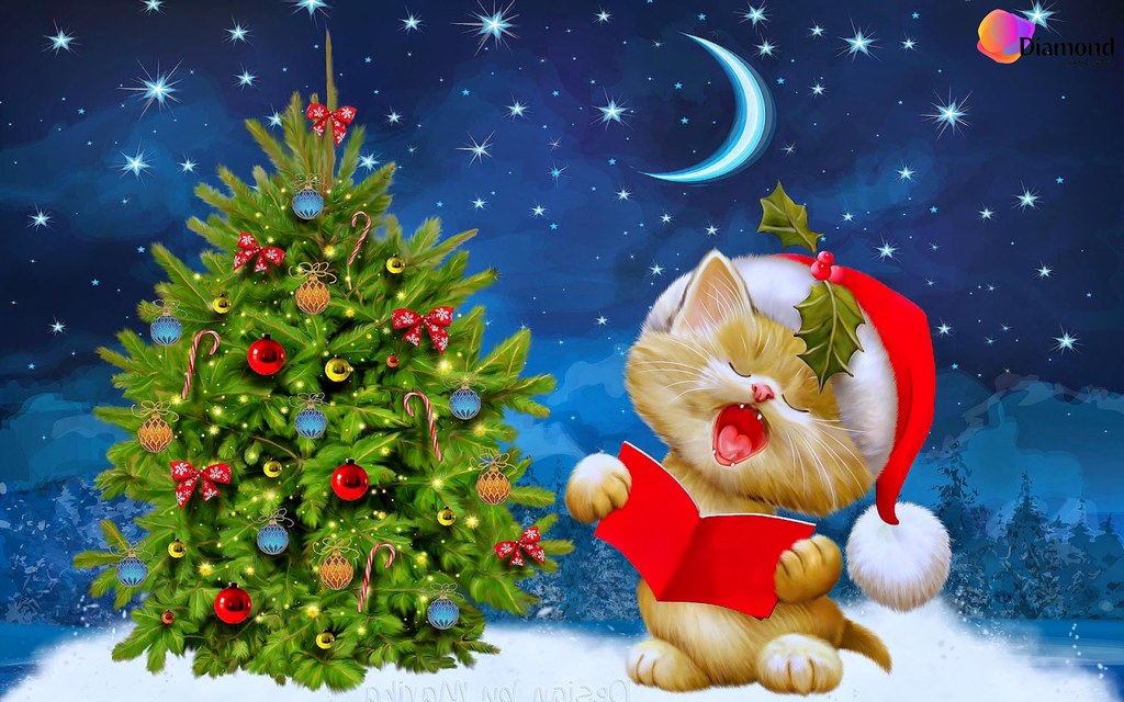 Zingende kat bij een kerstboom Diamond Painting for you