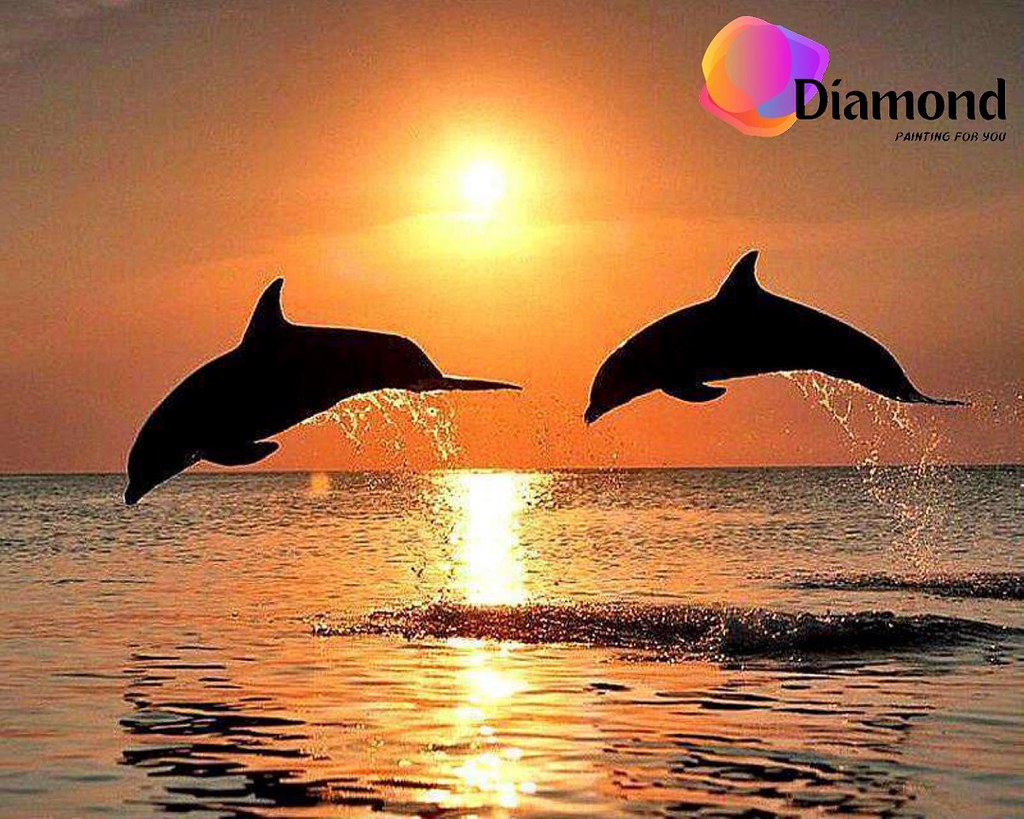 Dolfijnen zonsondergang op zee Diamond Painting for you