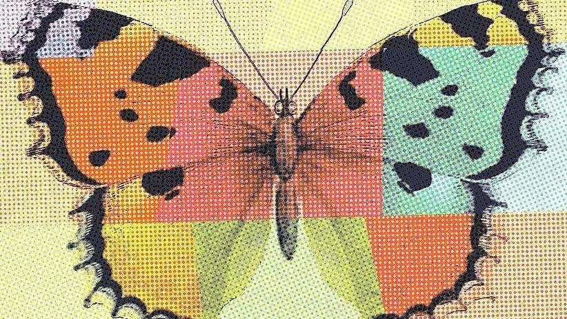 Gekleurde vlinder in een patroon Diamond Painting for you