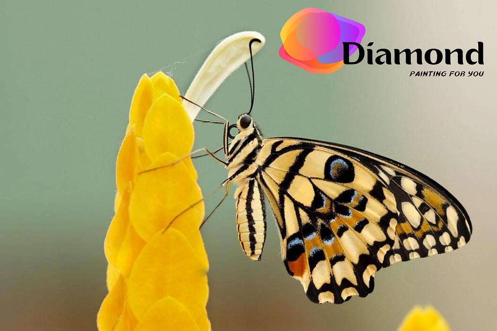 Gele vlinder gele bloem Watermerk Diamond Painting for you