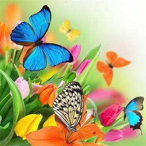 Kleuren vlinders op tulpenbollen Diamond Painting for you