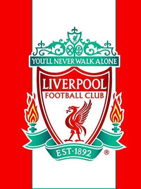 Thumbnail for Liverpool logo Diamond Painting for you