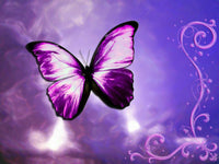 Thumbnail for Paarse vlinder met gespreide vleugels Diamond Painting for you