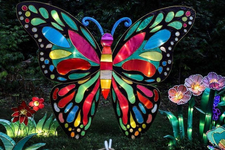 Vlinder met gekleurde vogels en gekleurde bloemen Diamond Painting for you