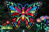 Thumbnail for Vlinder met gekleurde vogels en gekleurde bloemen Diamond Painting for you