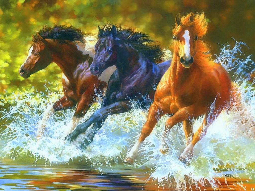 Paarden in het Water Diamond Painting for you